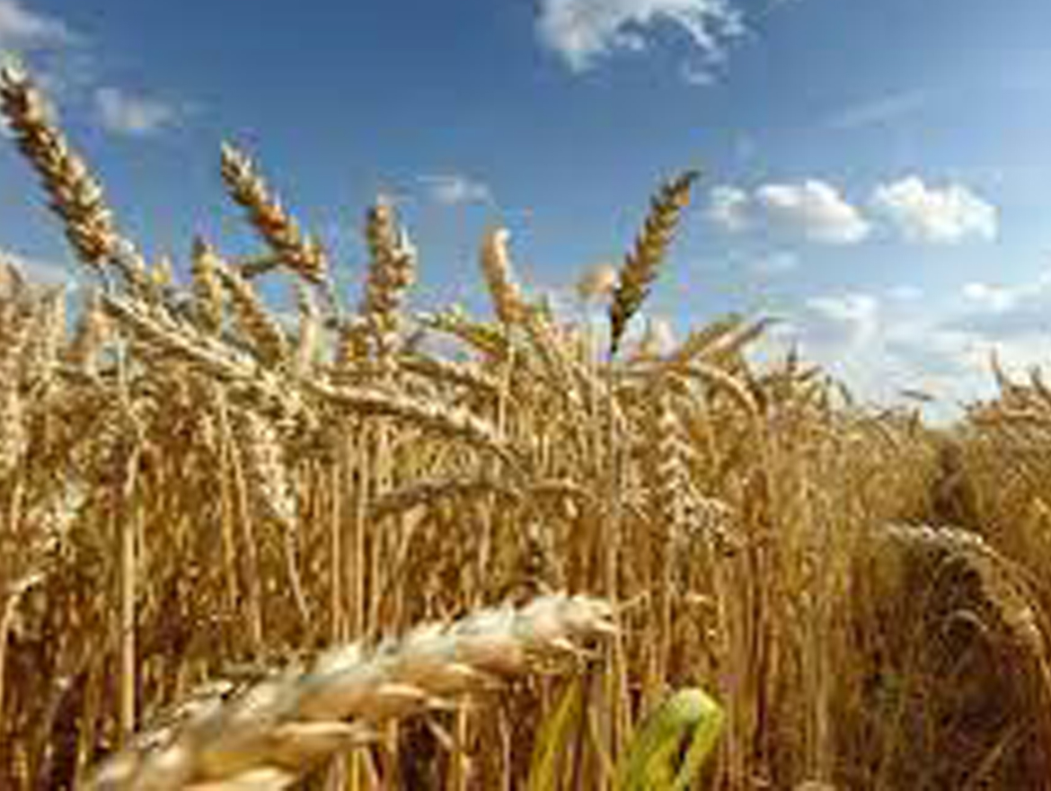 amazing caves coverimage